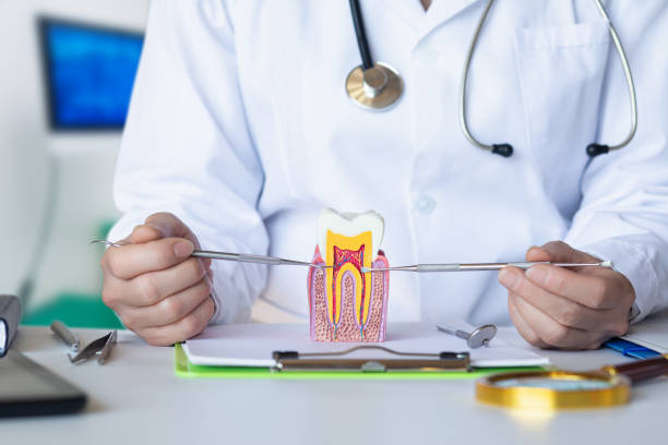 Best Emergency Dental Care for Trauma or Injury in Conyngham, PA